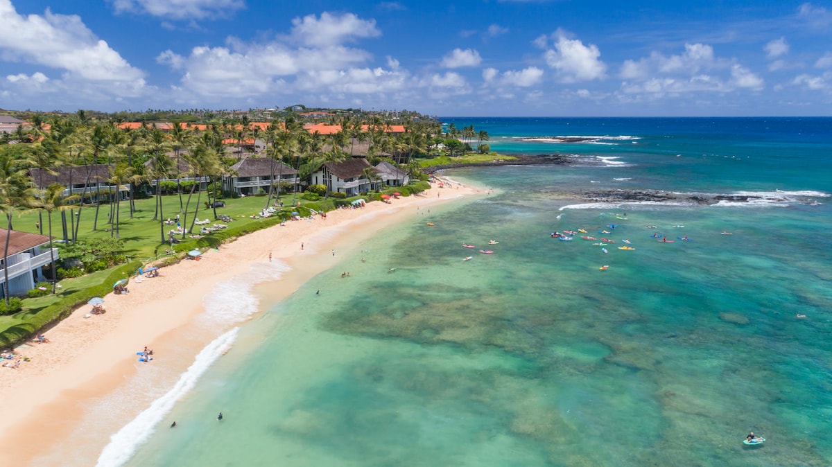 A stunning beach scene highlights a soft sandy shore gently merging with clear turquoise waters. Palm trees line the coast, providing shade. Small groups of people can be seen enjoying various water activities, with coral reefs visible through the serene water.