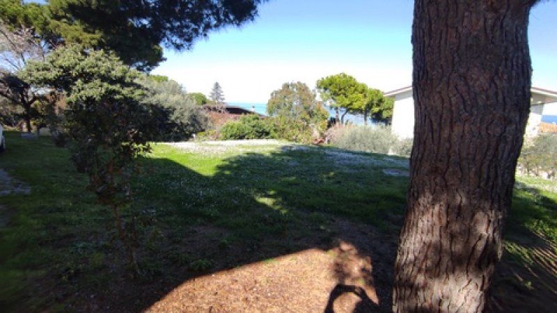 A serene outdoor space is depicted, featuring a well-maintained grassy area surrounded by various trees and shrubs. In the background, a glimpse of the sea is visible, highlighted by the clear sky. The scene suggests a quiet and inviting environment for relaxation.