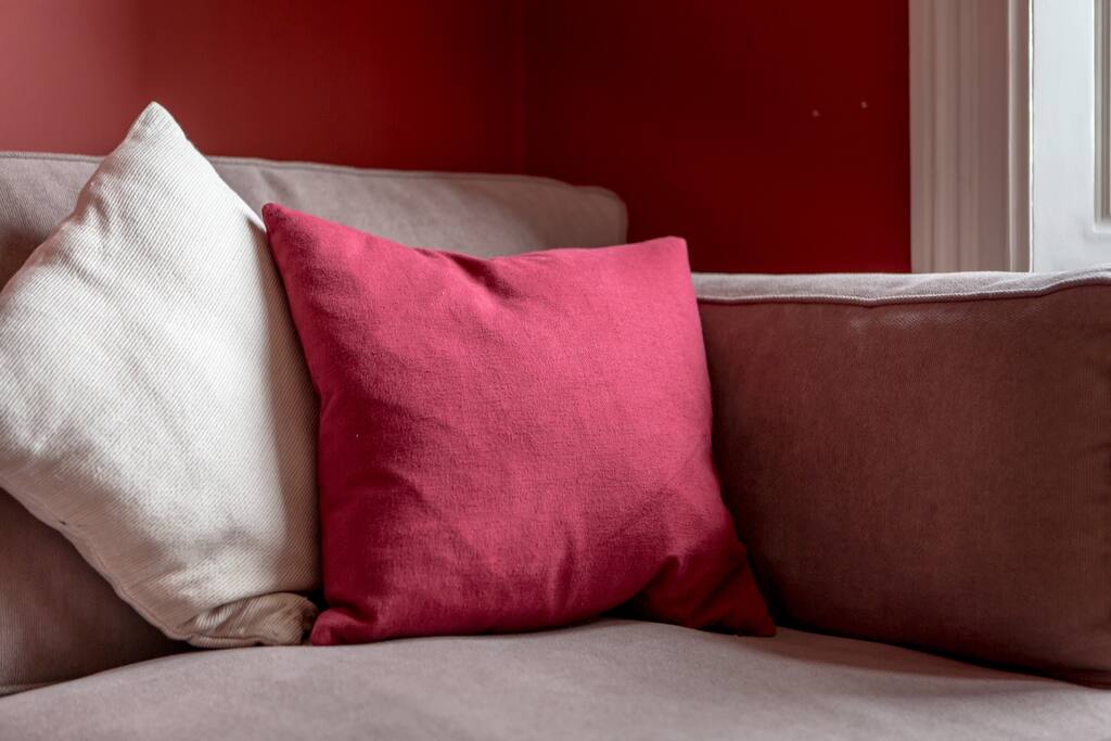 Comfortable living room with sofa bed