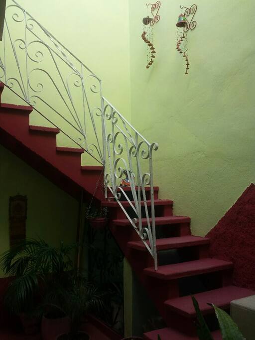 Stairs to the Nest