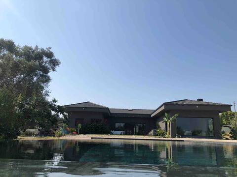 Villa where you will find your own essence in nature