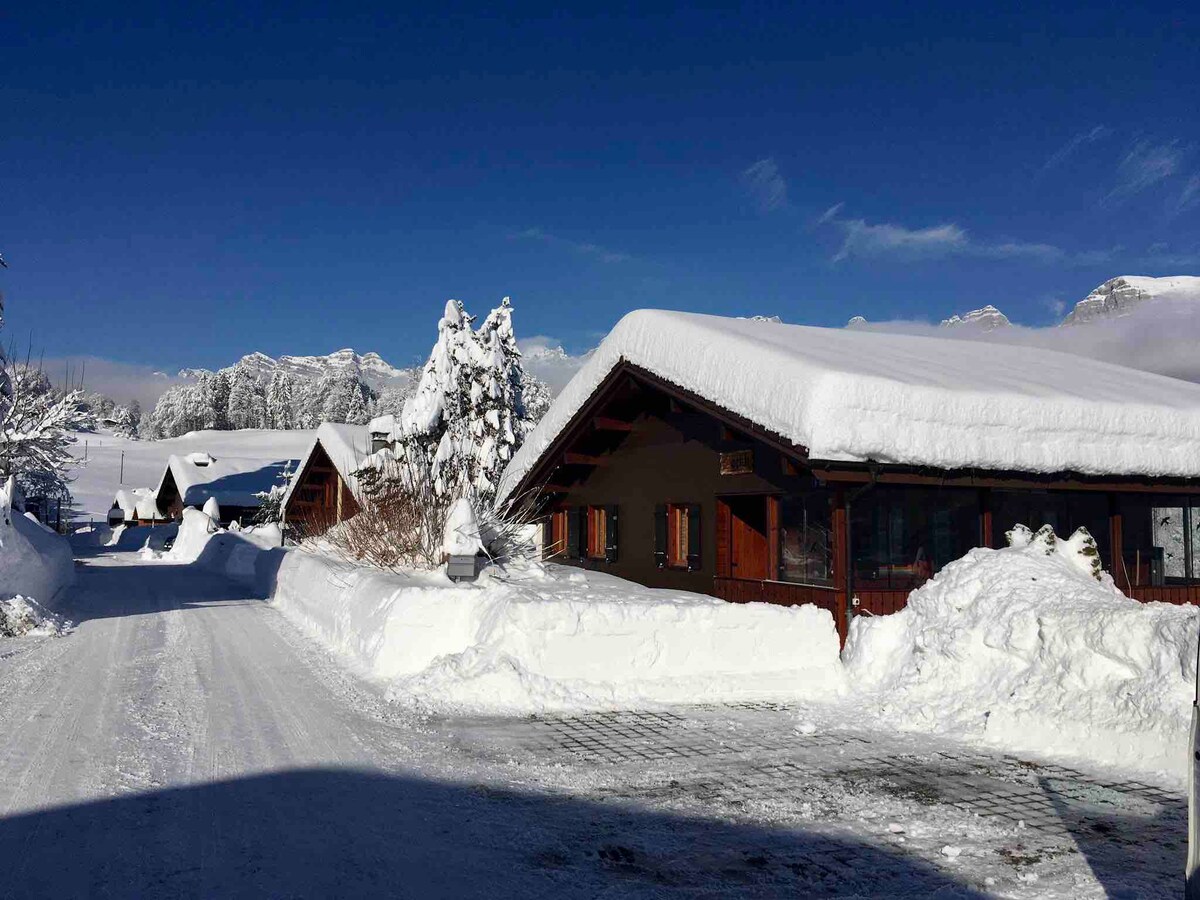 The snow-covered chalets line a quiet path, surrounded by a winter landscape. Tall snow-draped trees and the distant mountains create a serene backdrop under a clear blue sky. The buildings exhibit traditional Swiss architecture with wooden eaves, emphasizing the tranquil alpine setting.