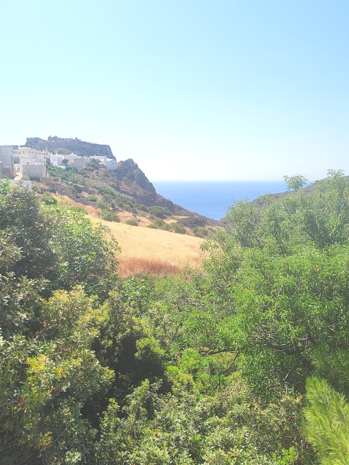 A panoramic view features rolling hills leading to the sea, with cliffside houses perched above. Lush greenery and golden grass blend into the landscape, while the blue water of the sea sparkles in the sunlight, creating a serene atmosphere.