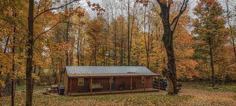 Cabin in the Woods
