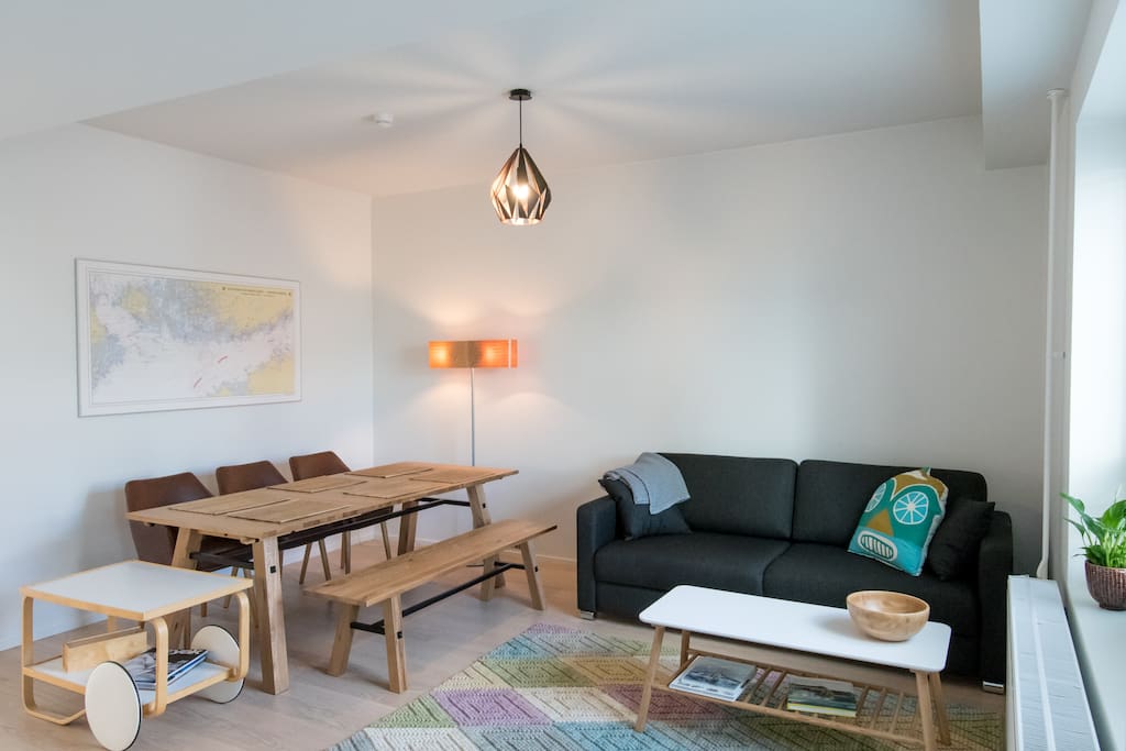 Living room and the sofa bed