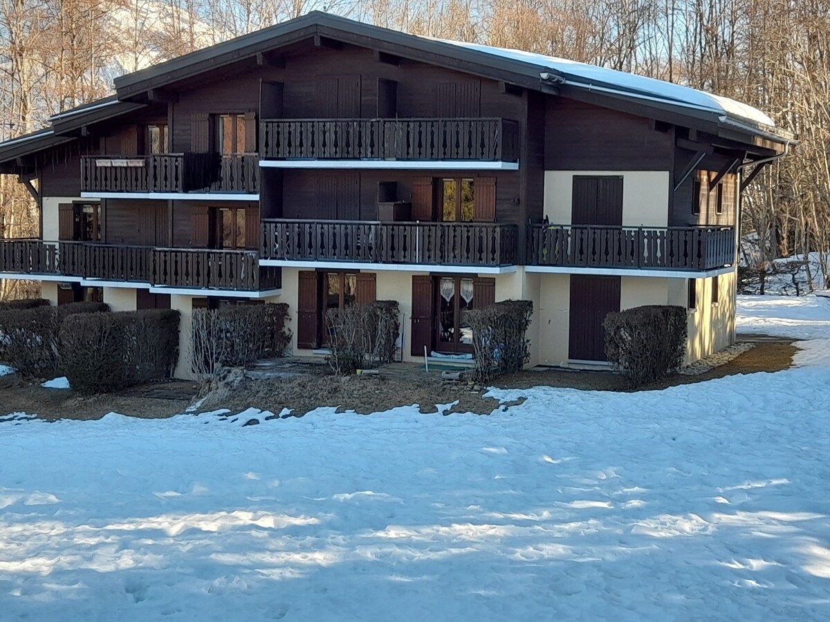 Top performing Airbnb: Apartment in a chalet with terrace in Demi Quartier