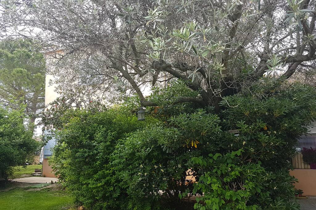la maison avec jardin avant, 100m2 avec coin voiture compris