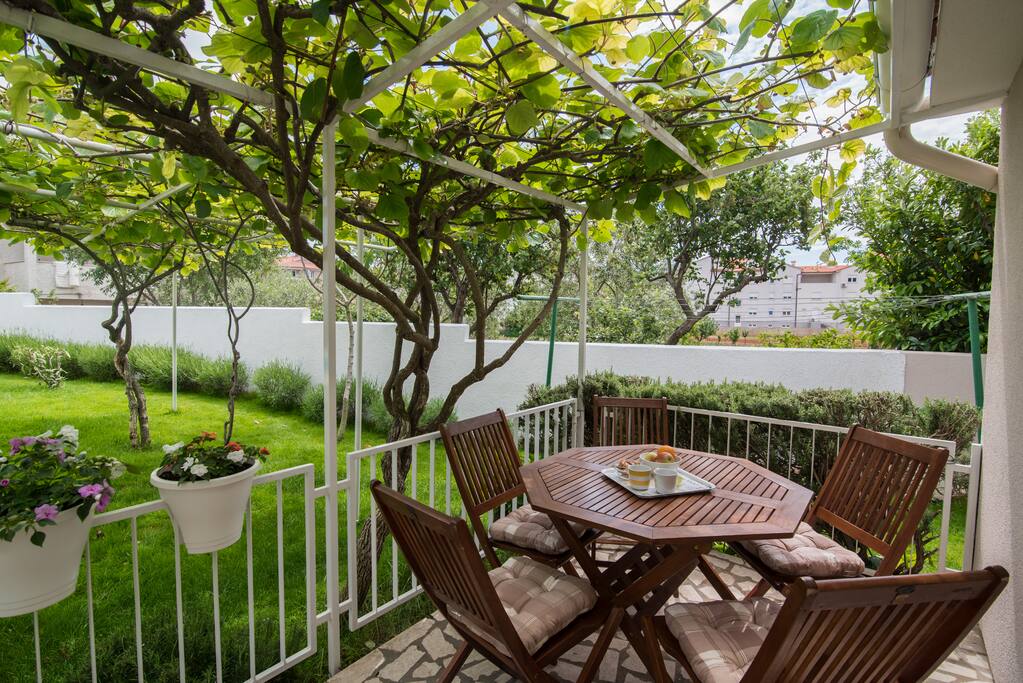 Terrase below the kivi pergola!