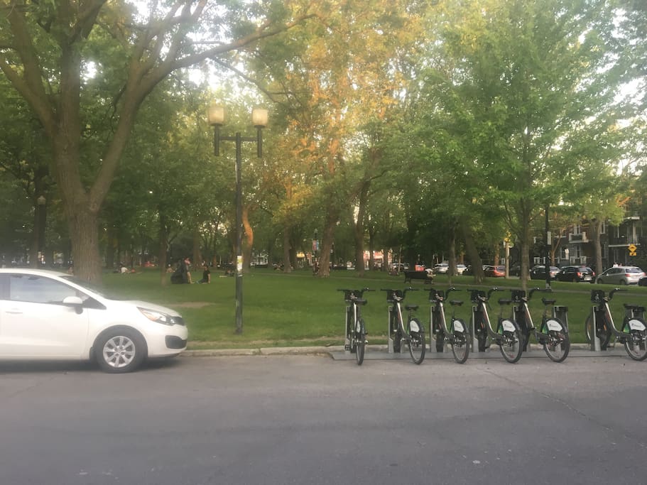 Park in front with bicycle rental