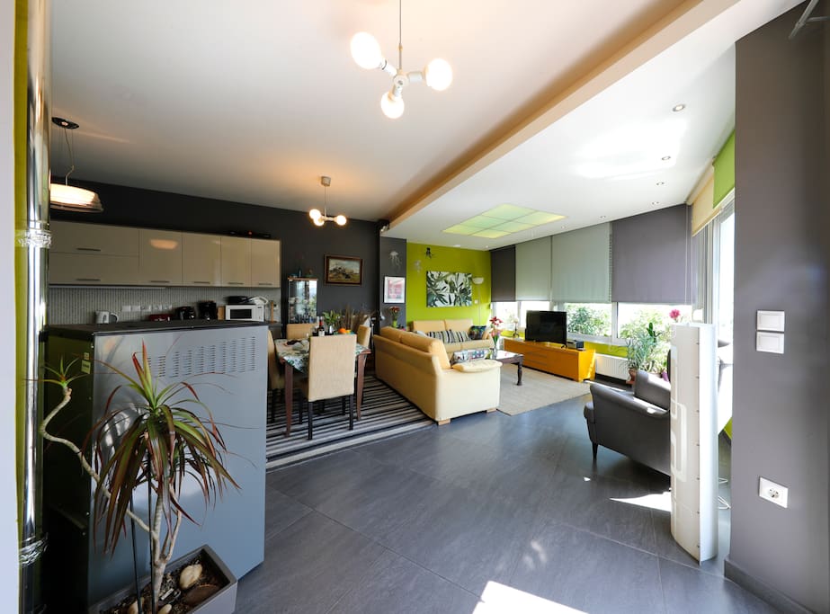 Living room, kitchen