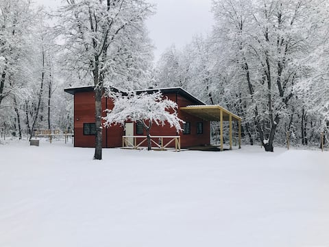Successful Airbnb property: Villa Blanca cabins, for 4 people(n°4) in Nuble Region