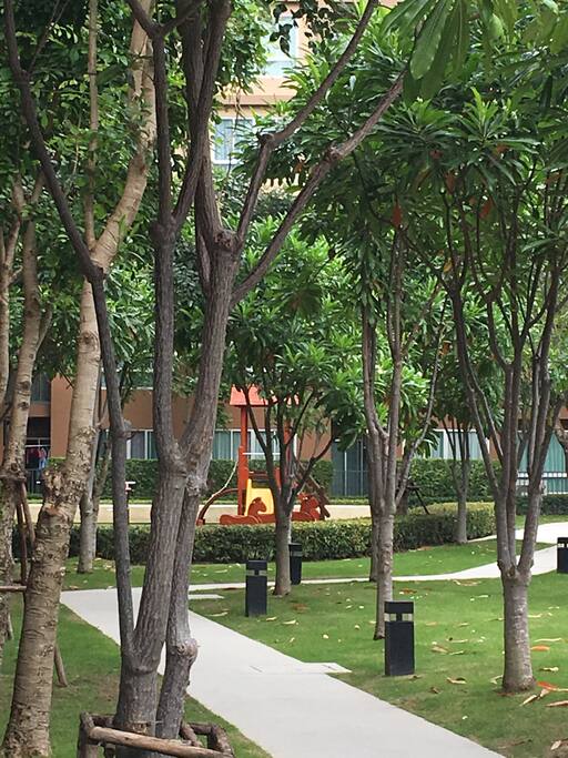 บรรยากาสร่มรื่น