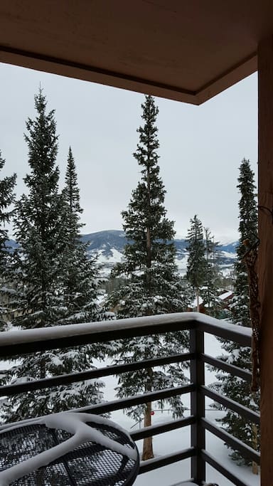 View from deck