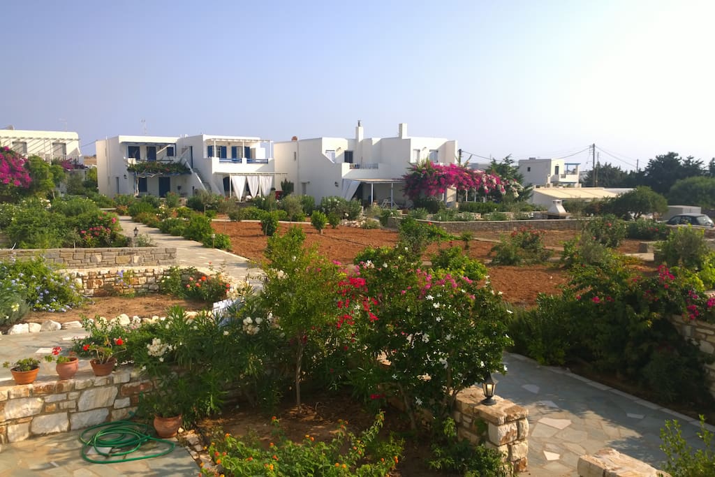 Delavinias gardens