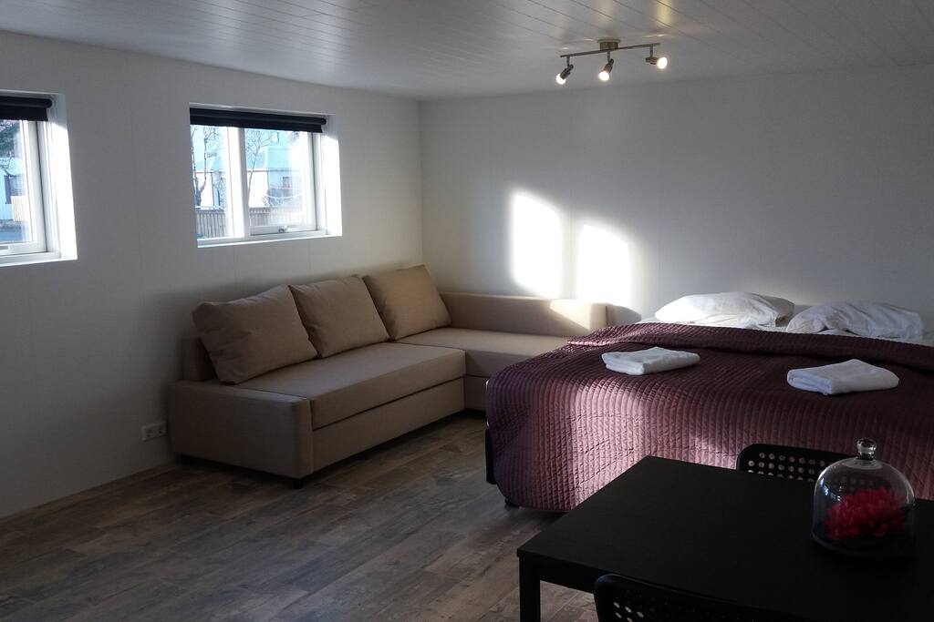 1 king size bed, dining talbe and sofa bed