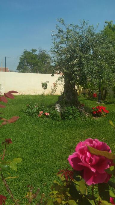 dettaglio giardino