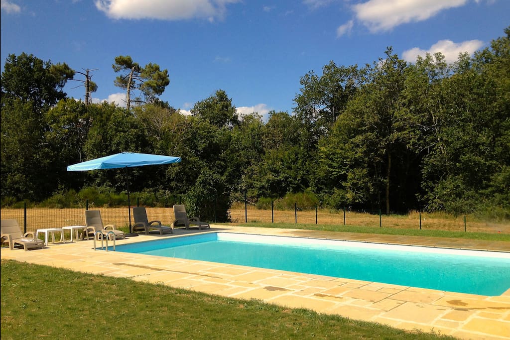 Pool set in the lush dordogne country side