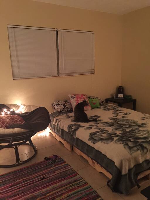 Your private room at night with Obie
