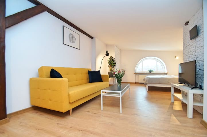 FV/ Mariacka 7 - Studio apartment -Katowice