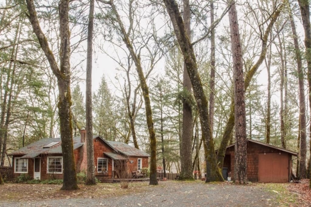 Cozy cabin in the woods...