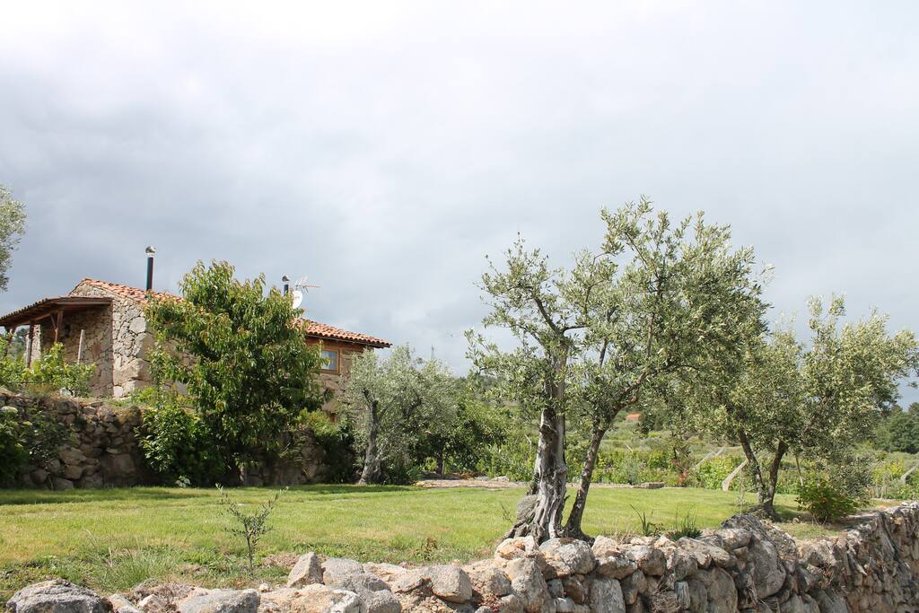 Casa e Jardim
