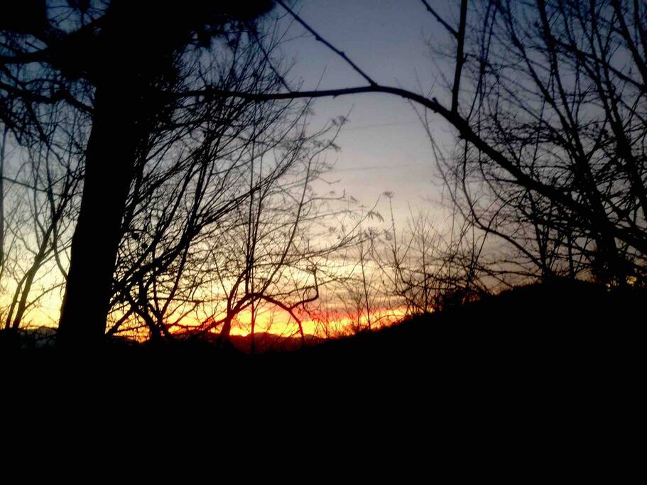 Beautiful nights