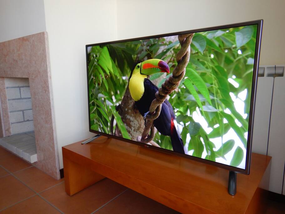 Enjoy this gorgeous LG Smart TV with numerous channels in several languages and a high speed internet connection.