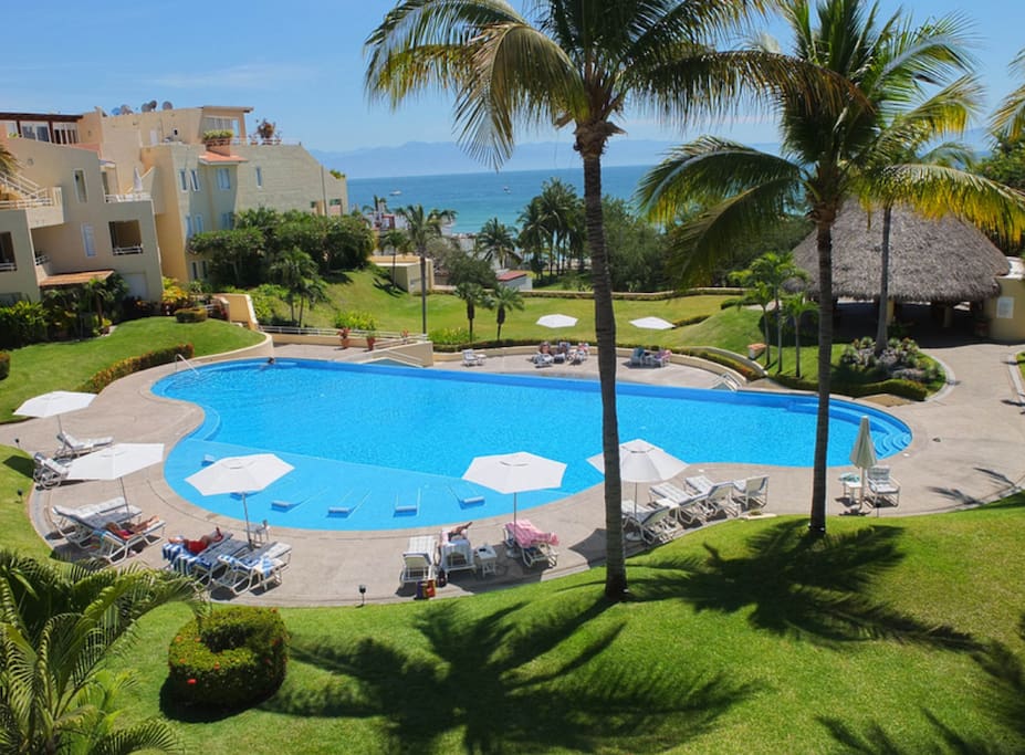 view from patio of pool