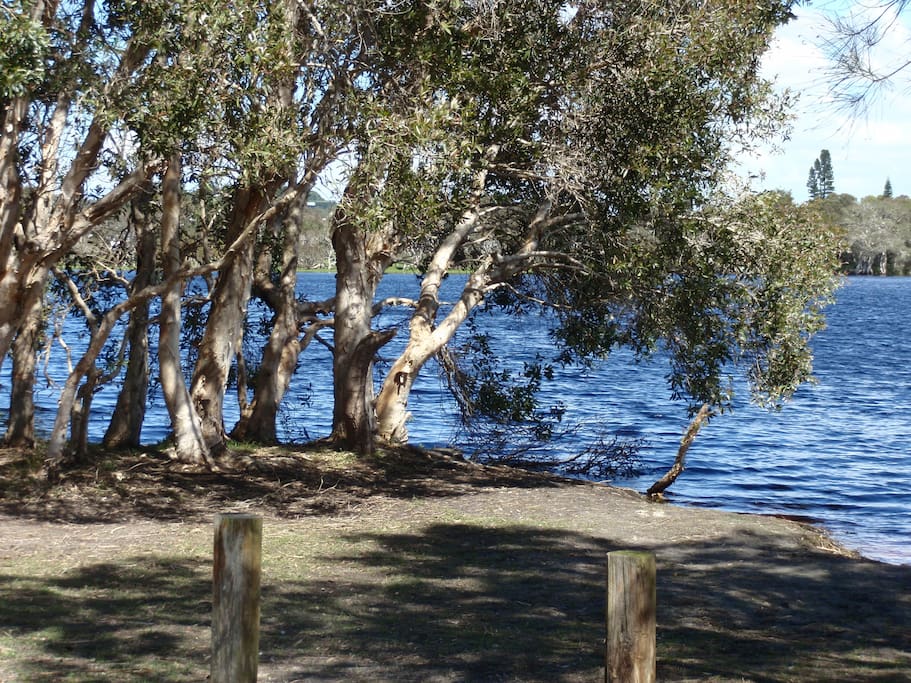 Lake Ainsworth.Picnic in shade and swim in fresh water.