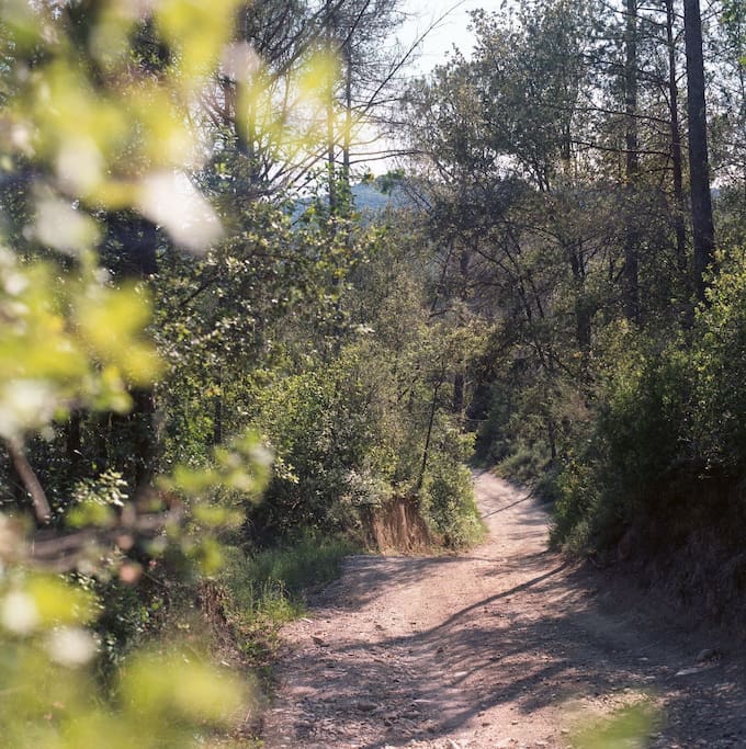 The dirt road to Mas Prim