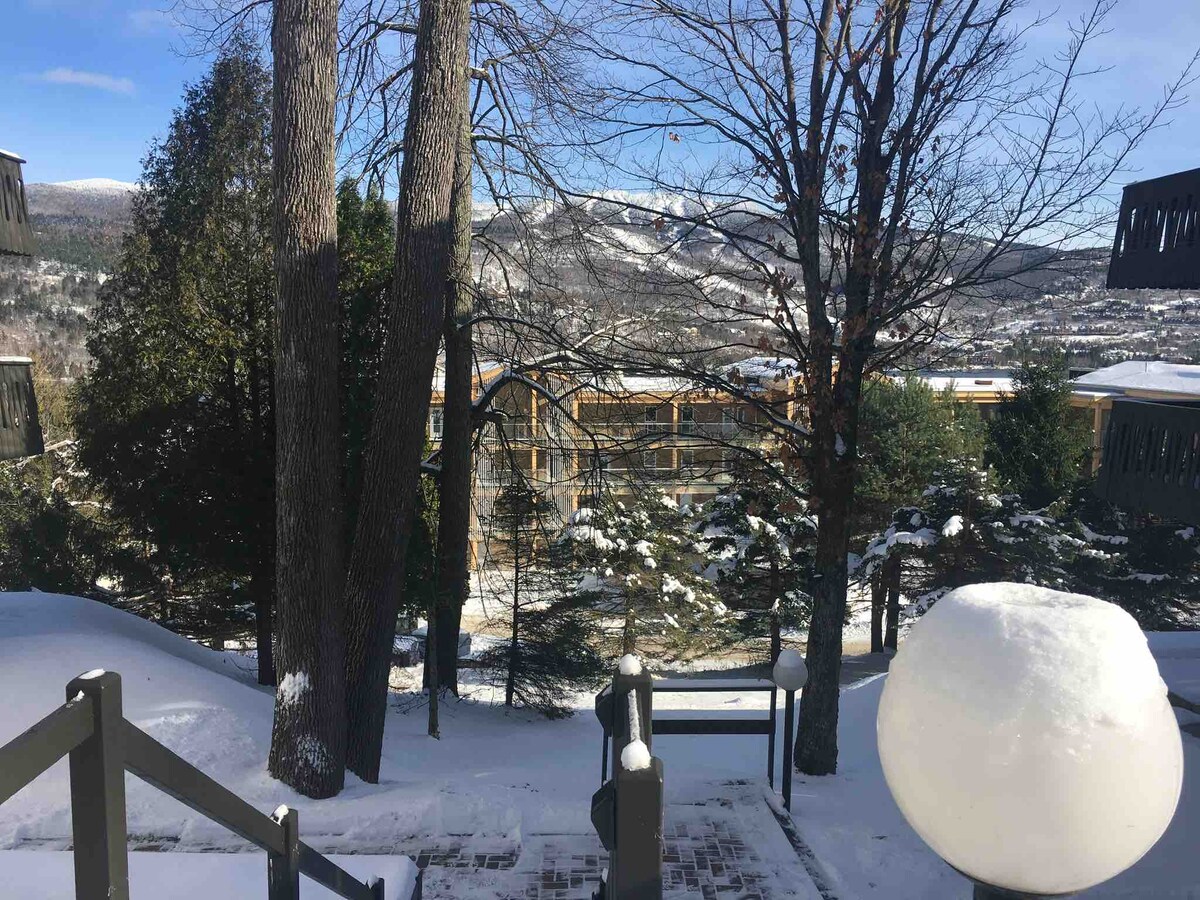 A snow-covered landscape showcases tall trees and a view of distant snow-capped mountains. The pathway is framed by steps leading downwards, with the natural surroundings creating a serene atmosphere. A round light fixture is visible in the foreground, adding a touch of modern design.