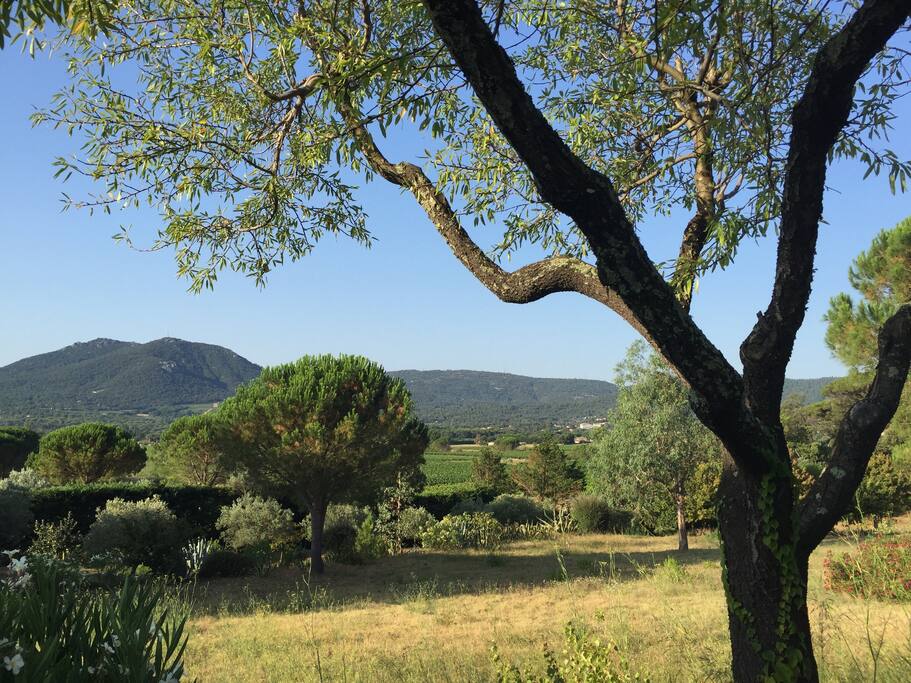 Garden Views