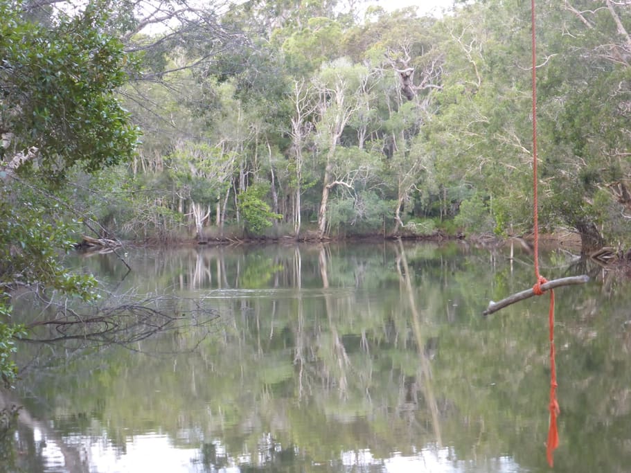 Looking from the deck. Mullet jumping, kids swinging from the rope