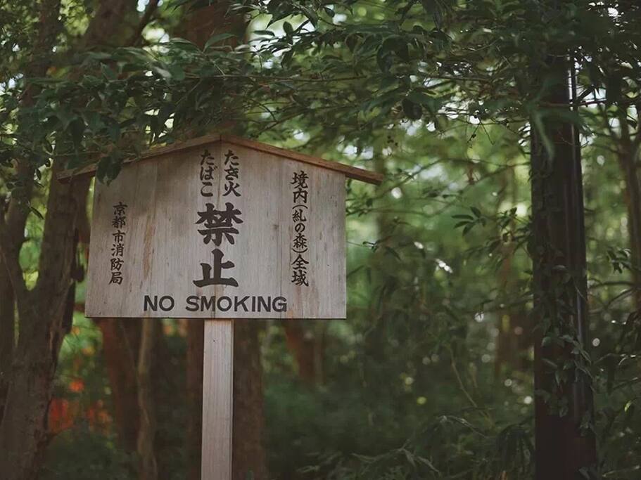 京都日常 清晨去一趟下鸭神社可好 京都旅游攻略 尽在airbnb爱彼迎