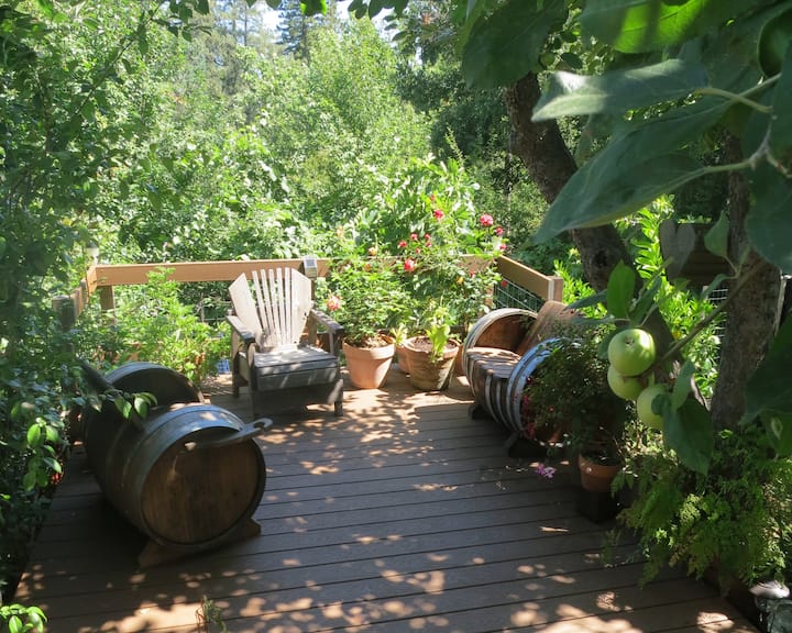 10 Best Airbnb Vacation Rentals In Forestville, California Updated