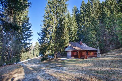 Holiday House - Chalet