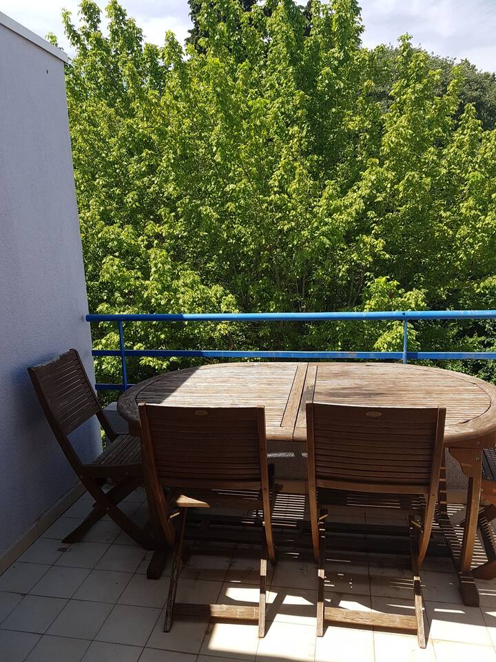 Renovated T2 with terrace Apartments for Rent in Montpellier