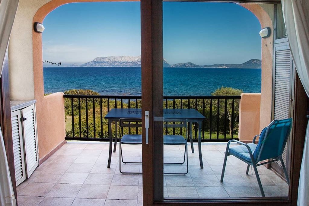 the terrace
