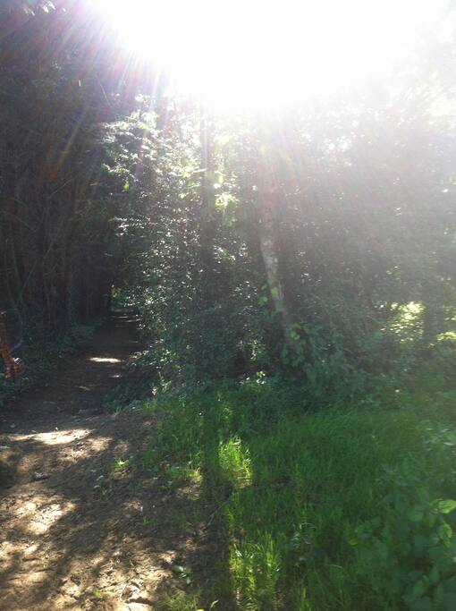 chemin partant de la maison