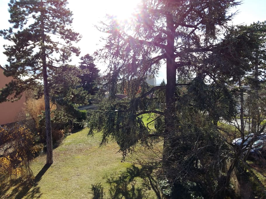 Vue sur le grand jardin