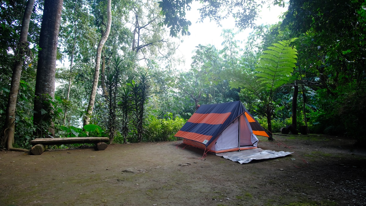 A colorful tent is set up on a natural clearing surrounded by lush greenery. Dense trees and tropical plants frame the area, creating a serene atmosphere. A wooden bench is positioned nearby, providing a place to relax and enjoy the tranquil surroundings.