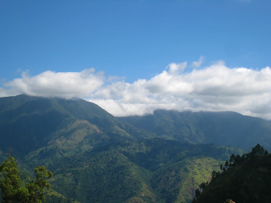 A view of the Blue Mountains