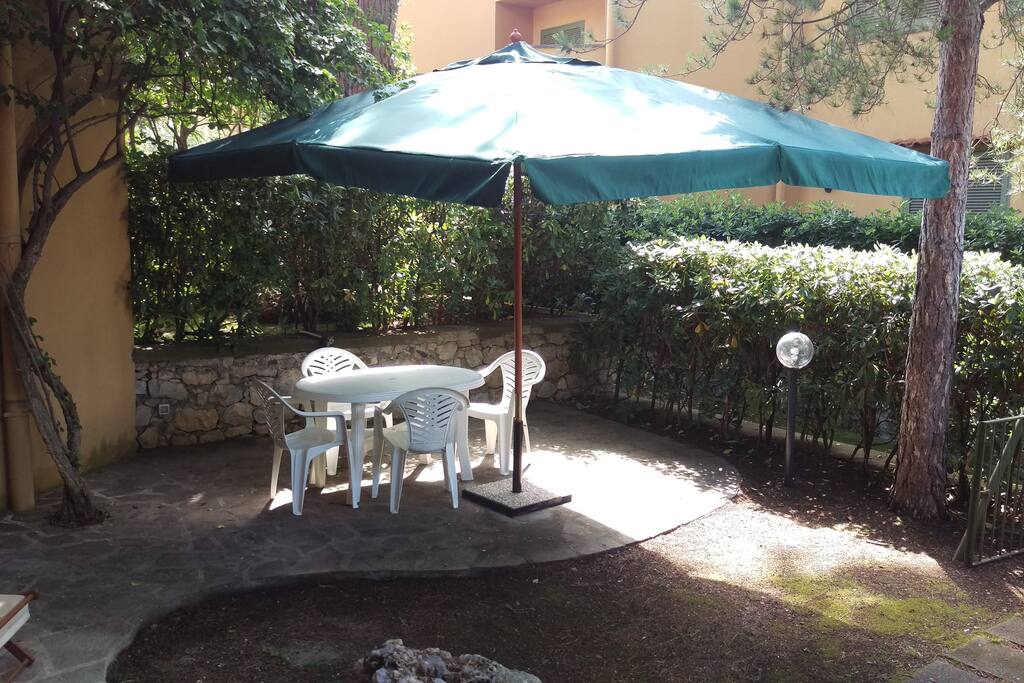 Our garden