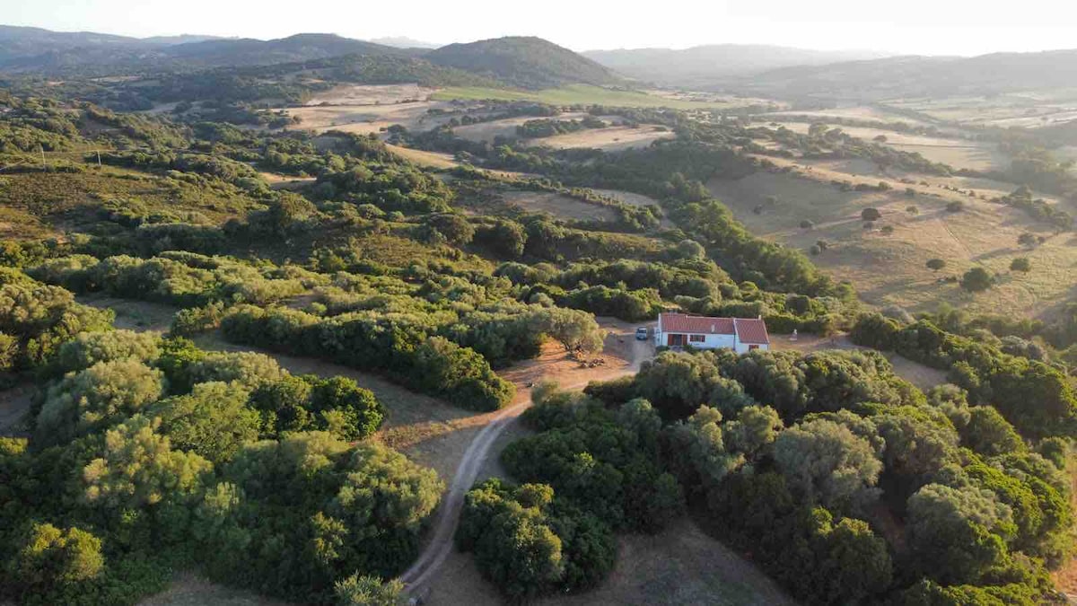 Aerial view of the villa set within expansive, lush green landscapes. Rolling hills and patches of trees surround the property, with winding pathways leading to the house. The tranquil setting emphasizes the sense of privacy and natural beauty.