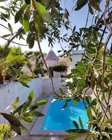 Trullo Maria Leo Puglia – with stunning pool gallery image 2