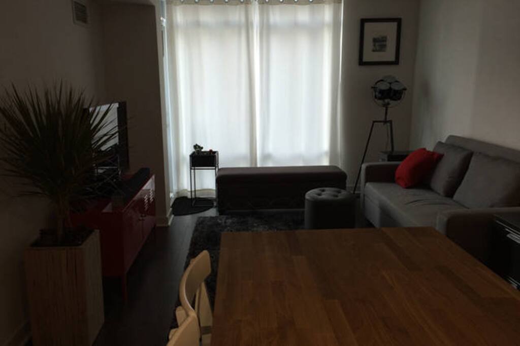 Living room with TV and sofa bed.