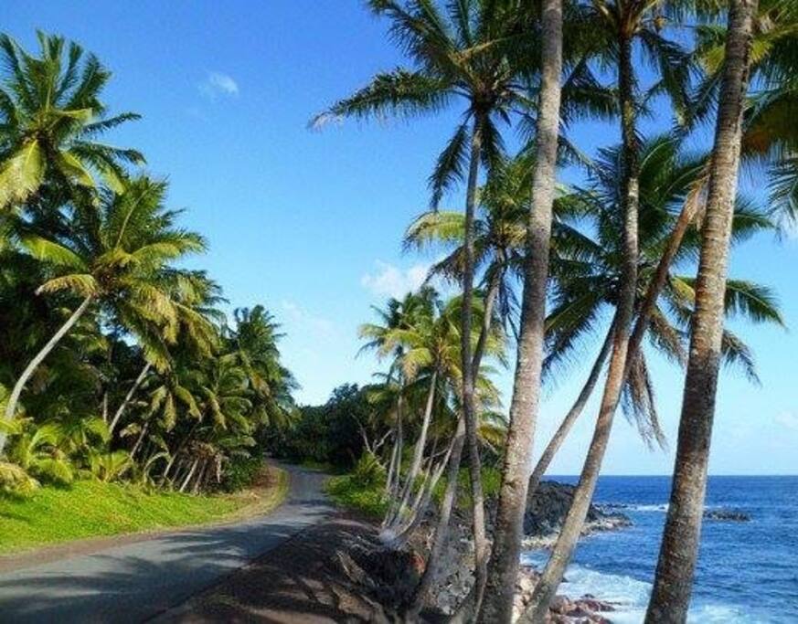 Here in Paradise