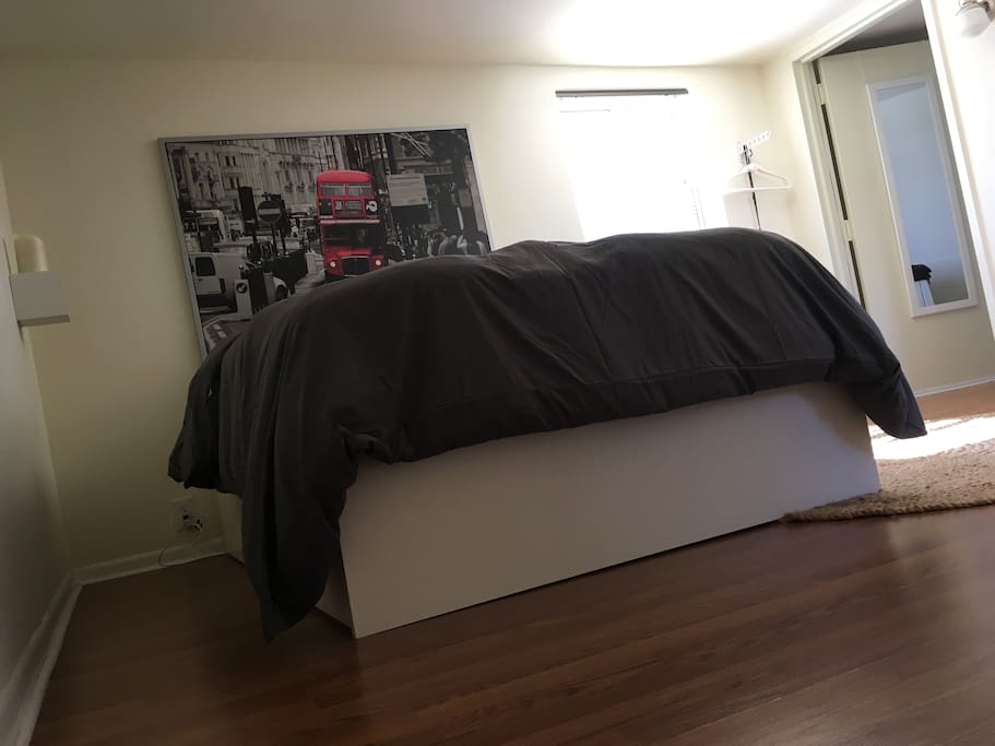 Private Room with very comfortable full bed.