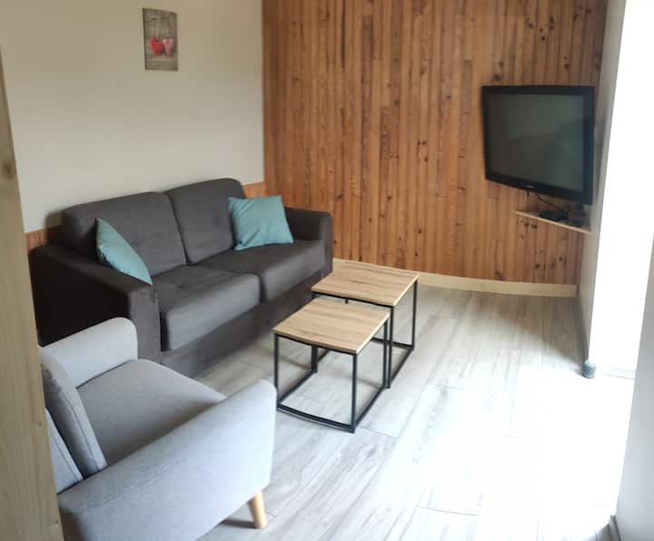 Living room equipped with a 3-seater convertible sofa and a Scandinavian armchair. A 108cm TV with all TNT channels