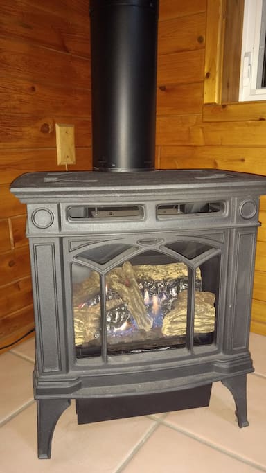The fireplace